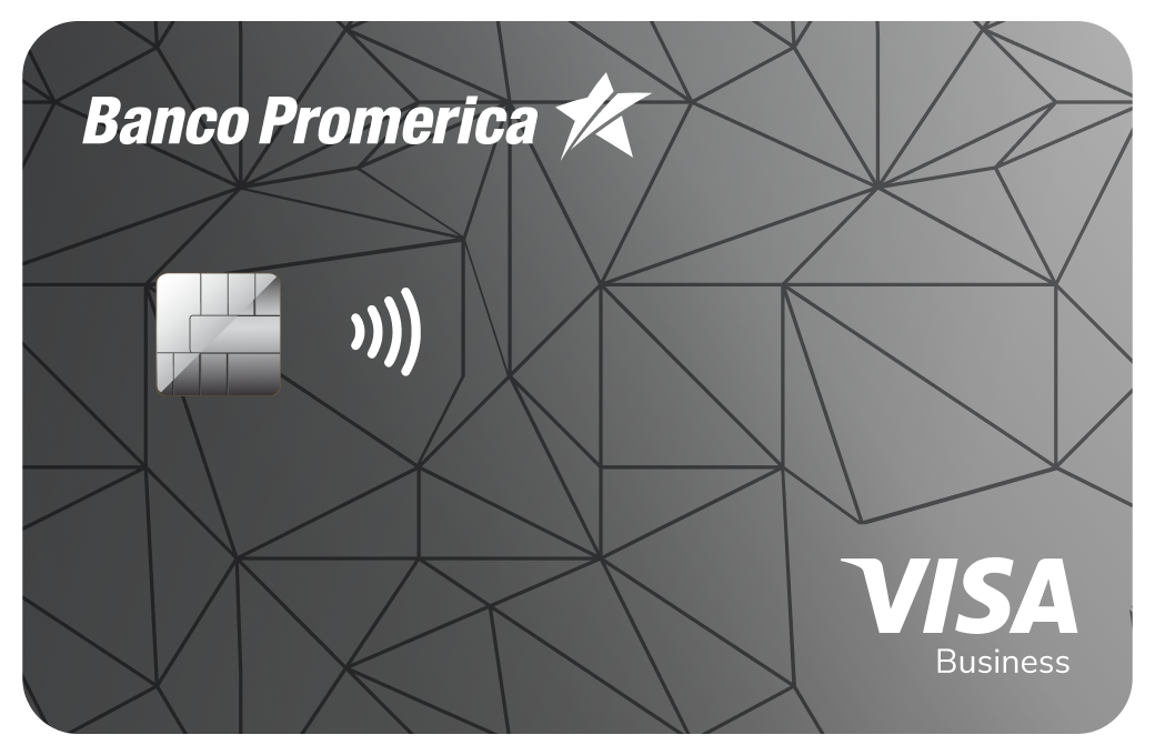 visa-business