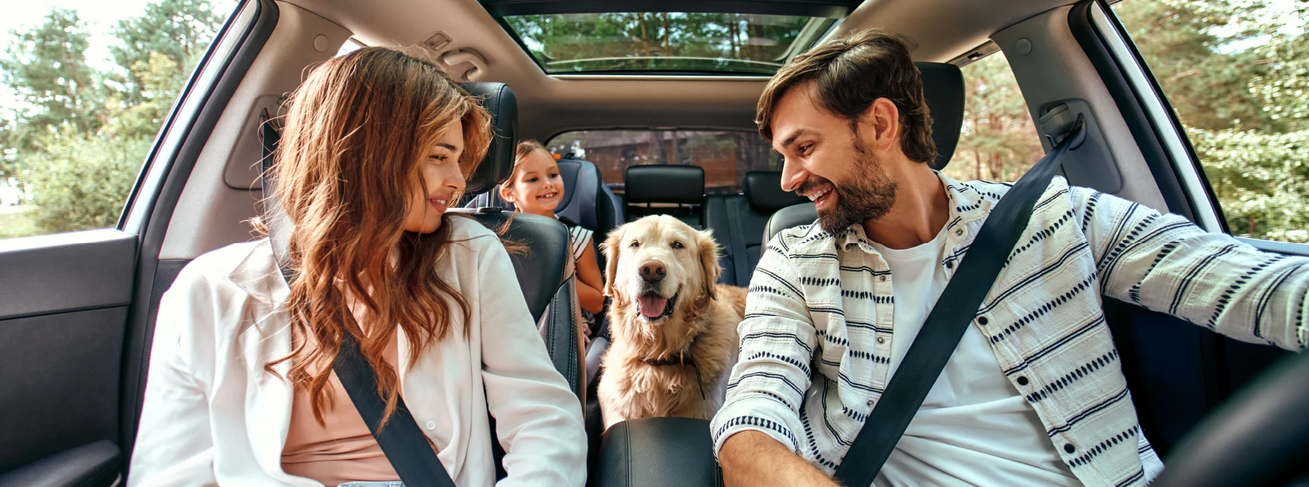 Banner Principal Creditos