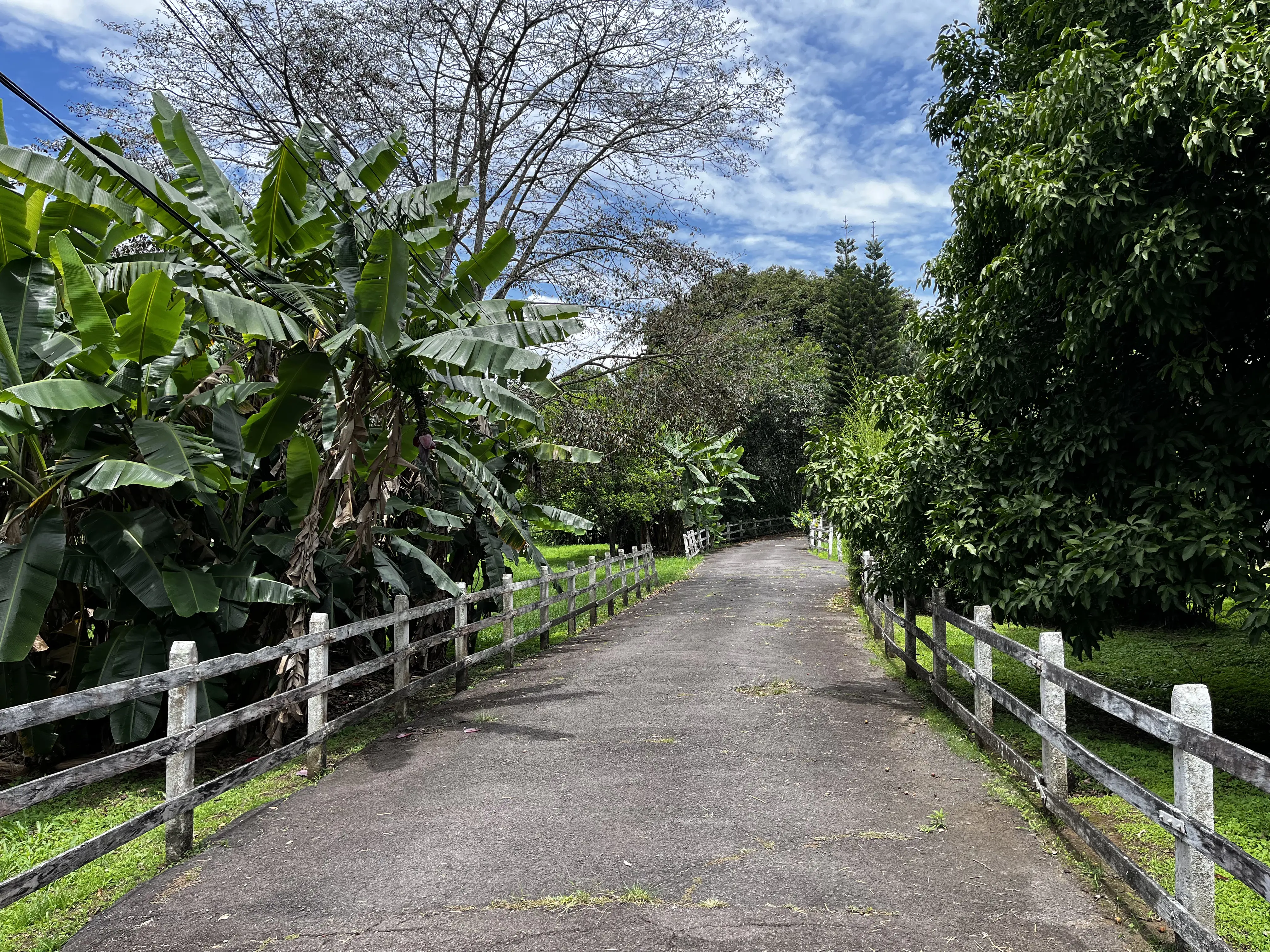 Quinta en la Garita