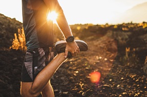 garmin-web