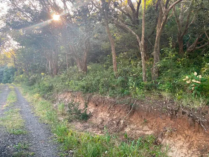 Finca San Jorge, Bagaces Guanacaste