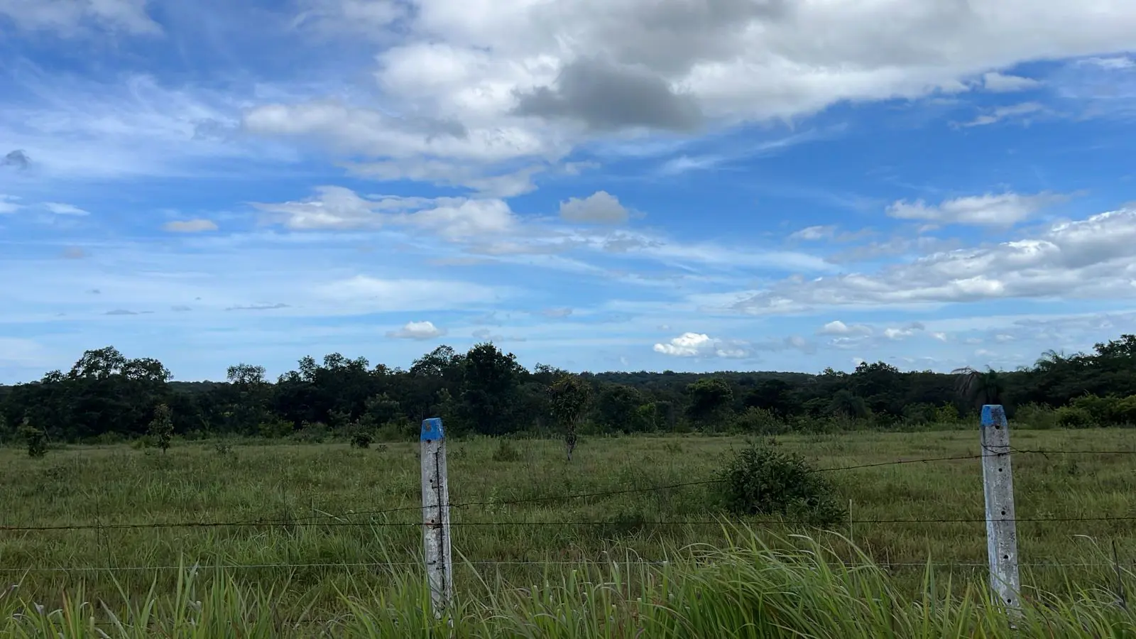 Lotes en Proyecto La Ponderosa