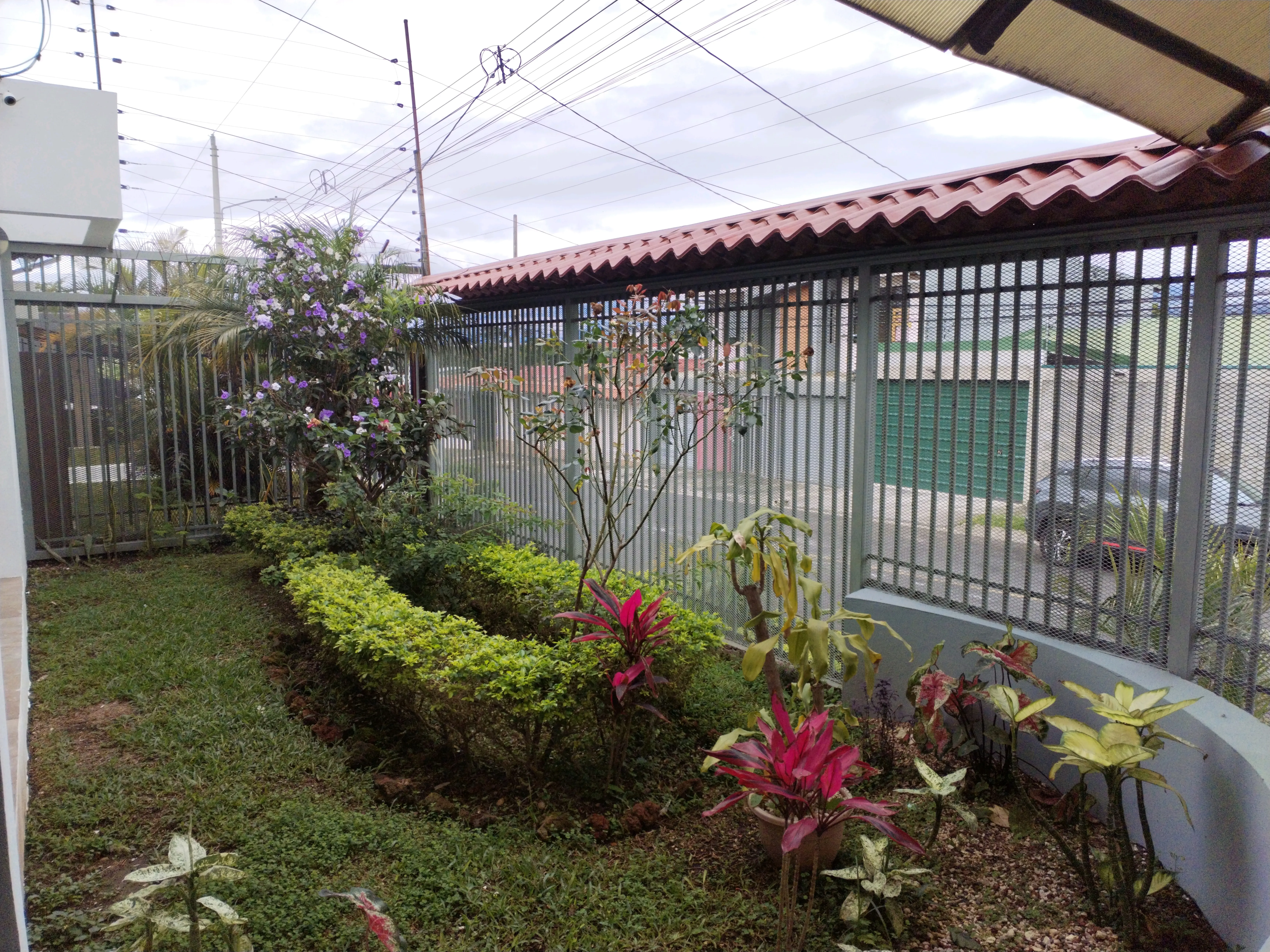 Vivienda en Moravia, Los Colegios