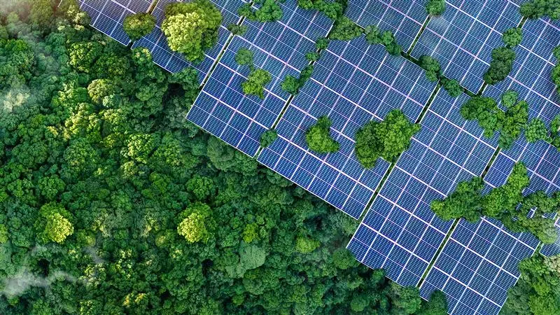 imagen reporte sostenible 2023