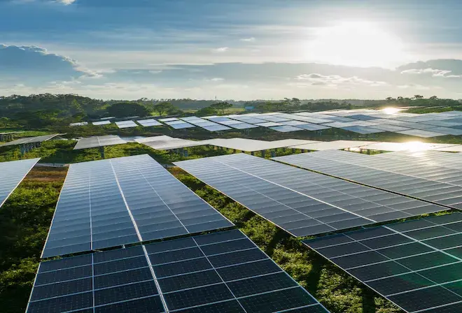 Reporte de Sostenibilidad